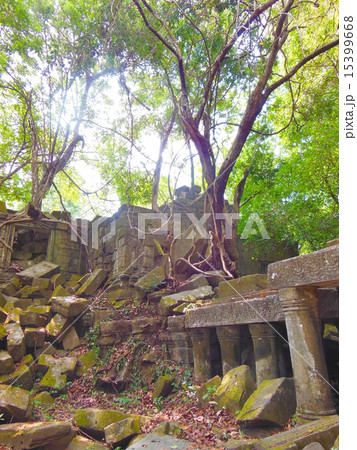 ベンメリア 15399668