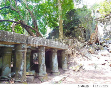 ベンメリア 15399669