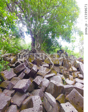 ベンメリア 15399671