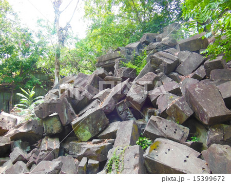 ベンメリア 15399672