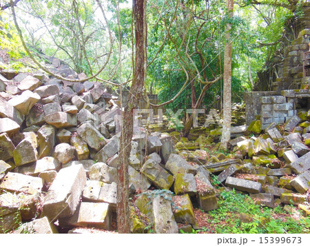 ベンメリア 15399673