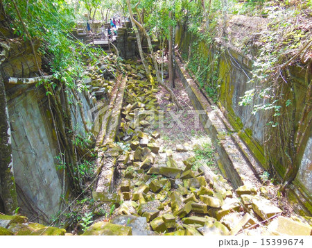 ベンメリア ベンメリア 15399674