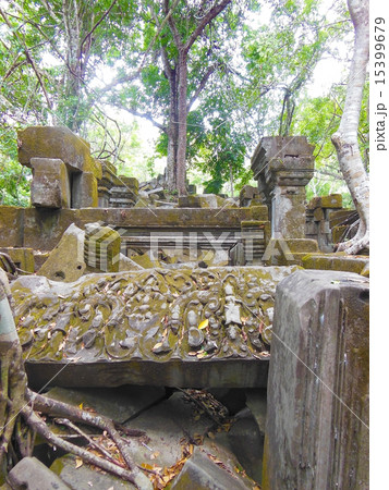 ベンメリア 15399679