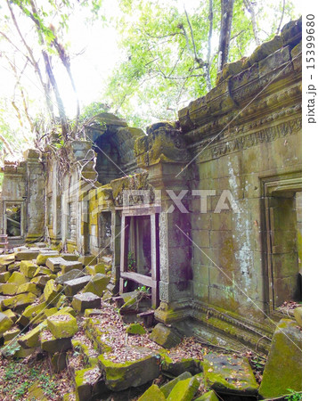 ベンメリア 15399680