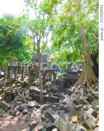 ベンメリア 15399681