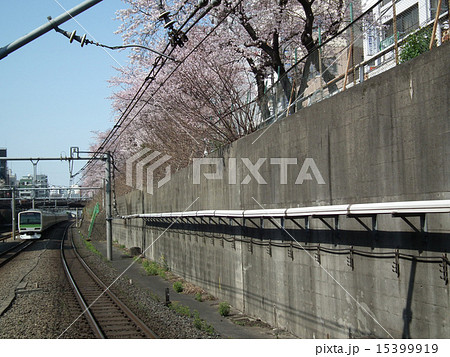 山手線　E231系　内回り　巣鴨駅 15399919