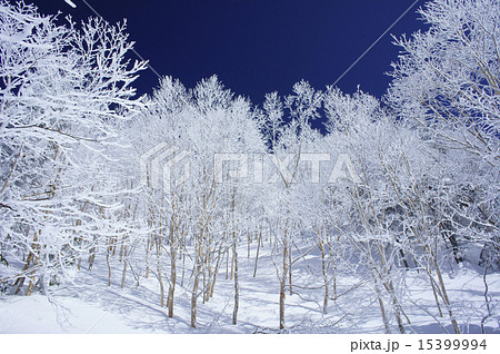 樹氷と青空1 15399994