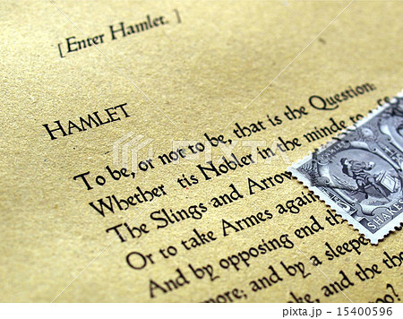 William Shakespeare Hamlet William Shakespeare Hamlet 15400596