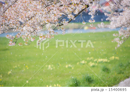 北上展勝地 15400695