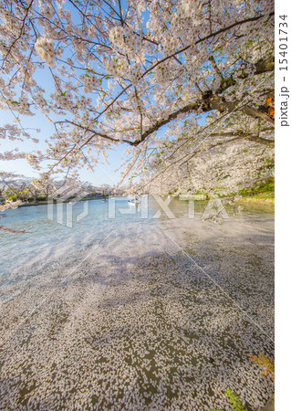 弘前公園 弘前公園 15401734