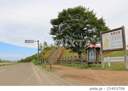 群馬県嬬恋村愛妻の丘 15403706