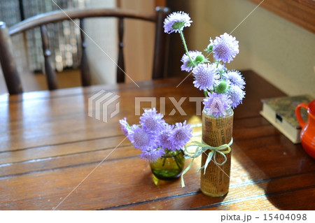 テーブルの上のスカビオサ 15404098