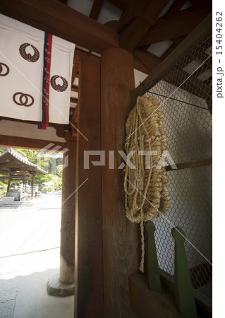 明日香村　岡寺　春景 15404262