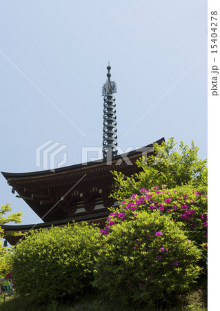 明日香村　岡寺　春景 15404278