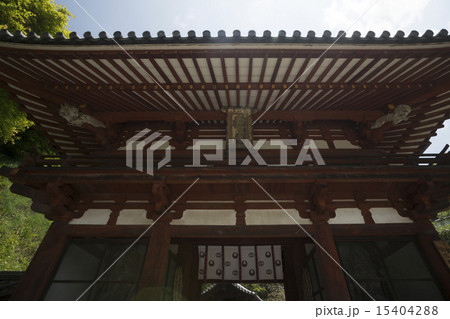明日香村　岡寺　春景 15404288