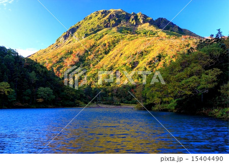 弥陀ヶ池から紅葉の日光白根山 15404490
