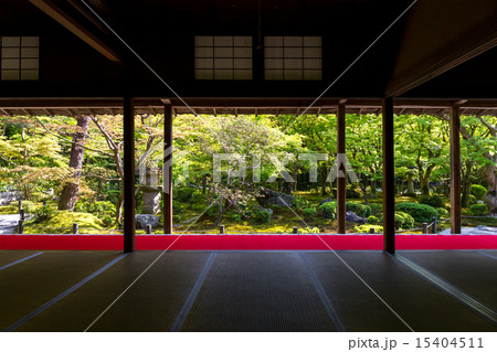 圓光寺 - 新緑 15404511