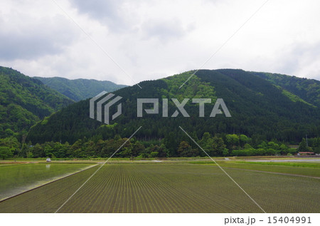 山間地の田植えの風景 15404991