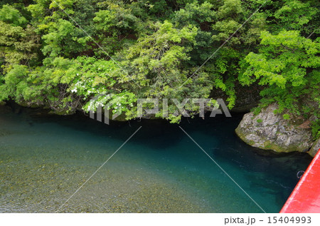 新緑と清流 15404993