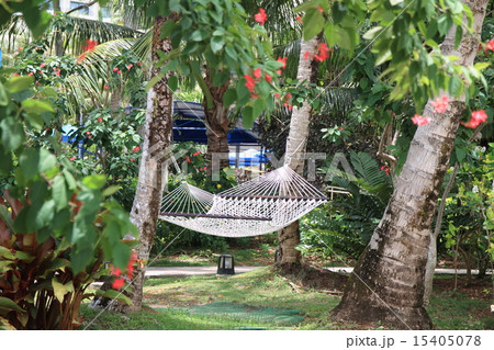 ハンモック 15405078