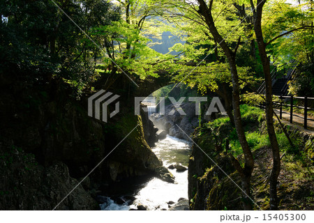猿飛千壷峡 15405300