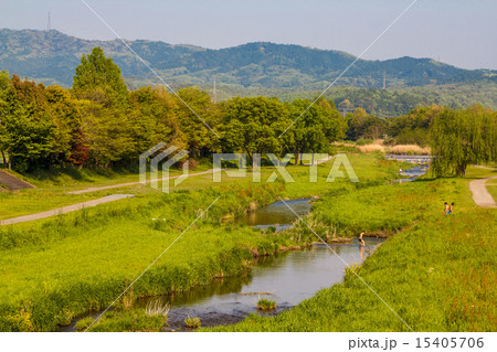 瀬戸市矢田川 15405706