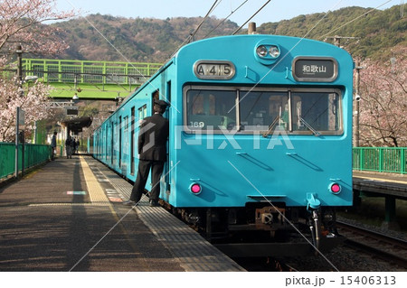 山中渓駅の桜と阪和線103系電車 15406313