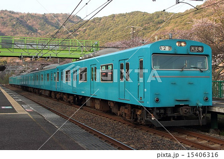 山中渓駅の桜と阪和線103系電車 15406316