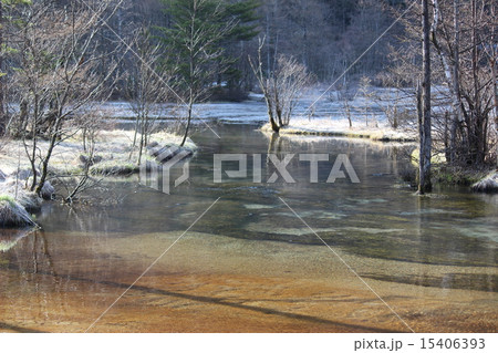 早朝の湿原(上高地の大正池付近) 早朝の湿原(上高地の大正池付近) 15406393