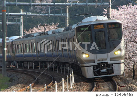 山中渓駅の桜と阪和線225系電車 15406468