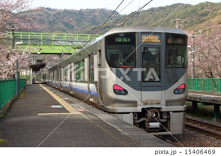山中渓駅の桜と阪和線225系電車 15406469