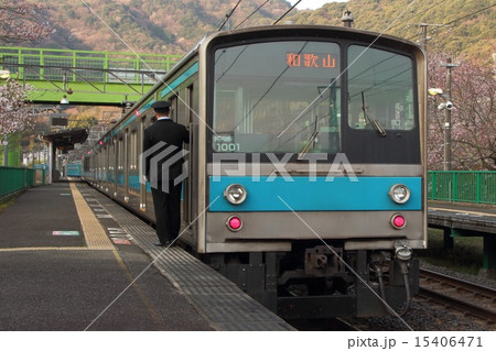 山中渓駅の桜と阪和線205系電車 山中渓駅の桜と阪和線205系電車 15406471