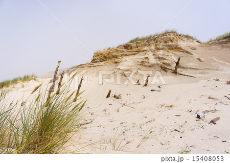 Dunes in foggy weather in  Leba, Poland. 15408053