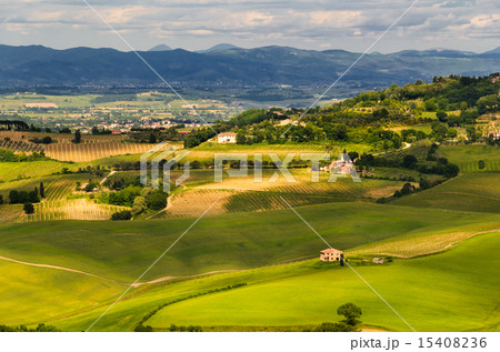 Toscana 15408236