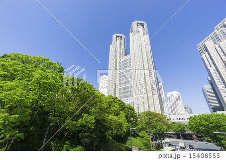 東京都庁と新宿高層ビル群　快晴青空　新緑 15408555