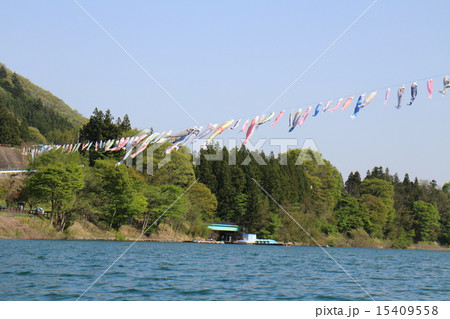 鯉のぼり　群馬　赤谷湖 15409558