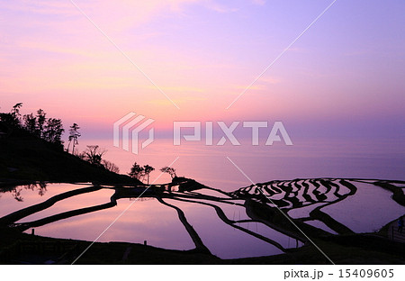 白米千枚田夕景 15409605