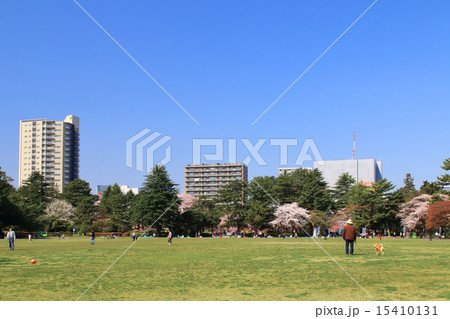 家族連れでにぎわう春の榴岡公園 家族連れでにぎわう春の榴岡公園 15410131