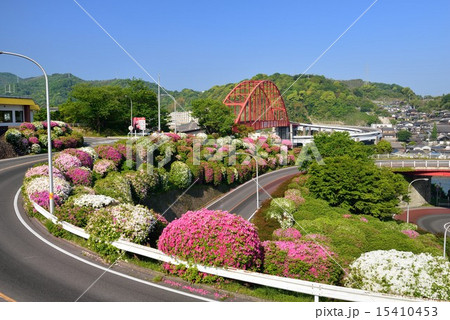 初夏の音戸大橋 初夏の音戸大橋 15410453