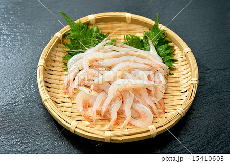 富山県産のシラエビ（白えび）。 15410603