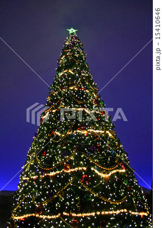Christmas Tree 15410646