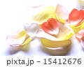 花びら 15412676