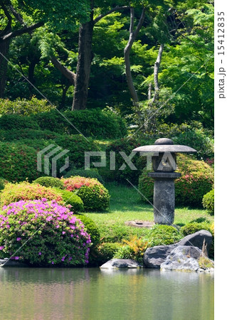 新緑の六義園 15412835