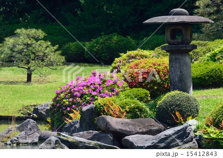 新緑の六義園 15412843