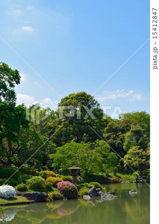 新緑の六義園 新緑の六義園 15412847