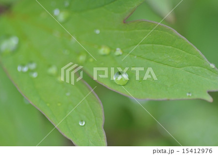 水滴 水滴 15412976