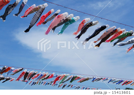 さつきの空に「泳ぐ鯉のぼり 15413601