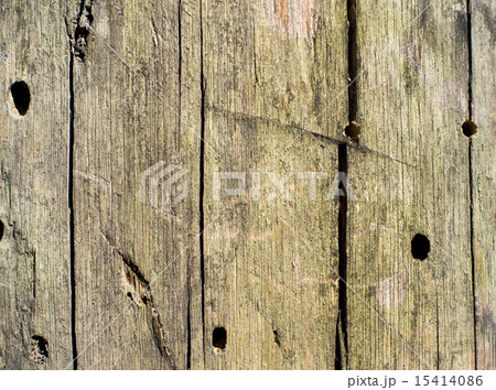 abstract background tree bark texture 15414086