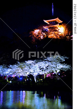 横浜市 三渓園 外苑 大池 旧燈明寺三重塔 重要文化財 夜桜 ライトアップの写真素材