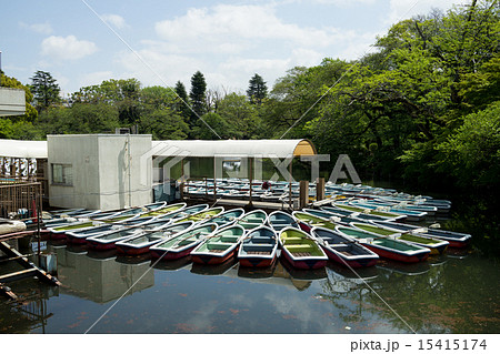 井ノ頭公園 井ノ頭公園 15415174